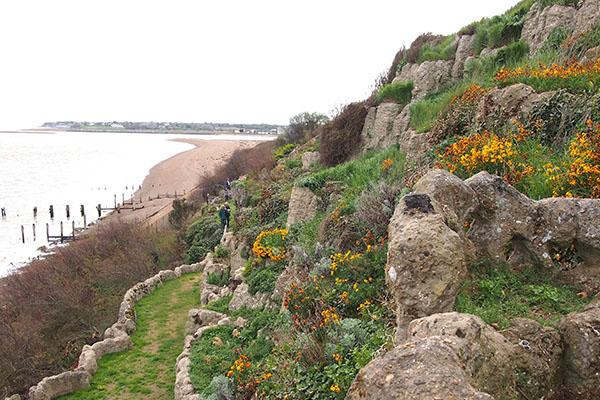 Bawdsey Pulhamite Cliff