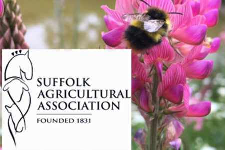 Suffolk Agricultural Association